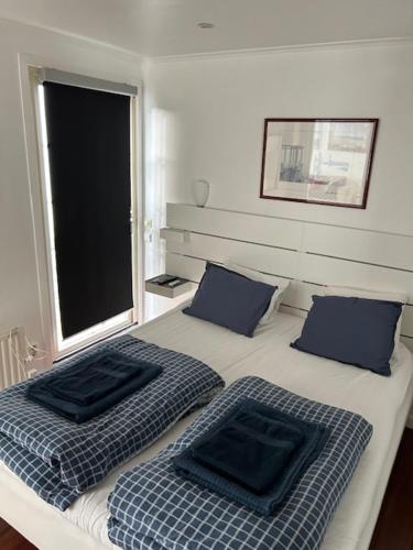 KlagshamnCalm villa-apartement near the sea and nature的一间卧室配有两张带蓝色枕头的床和窗户。