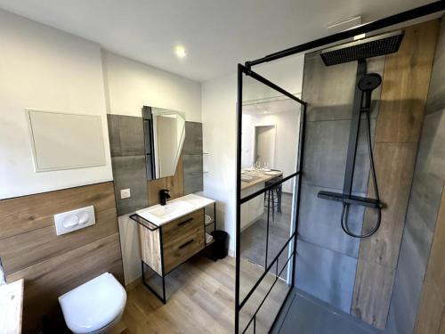 埃皮纳勒Le Paris-Vosges的带淋浴、卫生间和盥洗盆的浴室