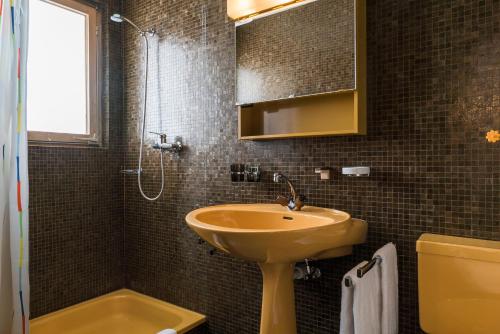 艾姆敦特莱斯亚度假屋的一间带水槽和淋浴的浴室
