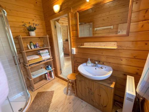 FrohburgGarten Eden的小木屋内的浴室设有水槽和淋浴
