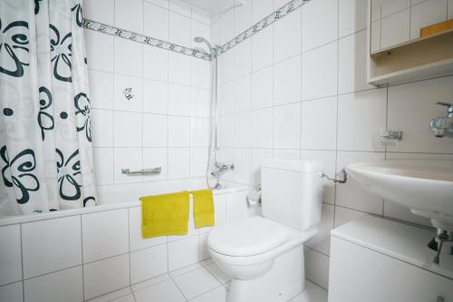 艾姆敦Schwendihaus Apartment的白色的浴室设有卫生间和水槽。