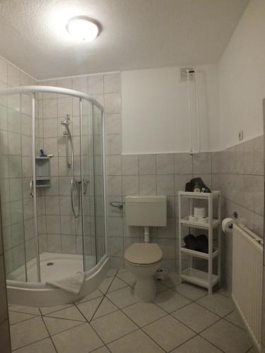 普鲁滕Zwei Bett Zimmer的带淋浴、卫生间和盥洗盆的浴室