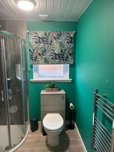 KensaleyreChieftain’s Cabin的绿色浴室设有卫生间和淋浴。