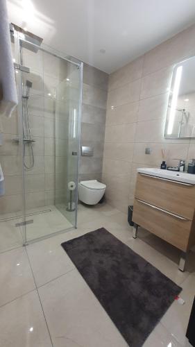 奥尔什丁JURA PARADISE的带淋浴、盥洗盆和卫生间的浴室
