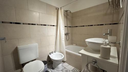 布宜诺斯艾利斯Apartamento Flowers的一间带卫生间和水槽的浴室