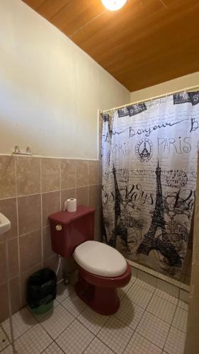 里瓦斯Hostal Casa Bonita Ometepe的一间带卫生间和淋浴帘的浴室