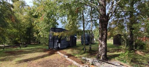普孔Tiny house Alto bosque的一片绿地中的黑色小房子