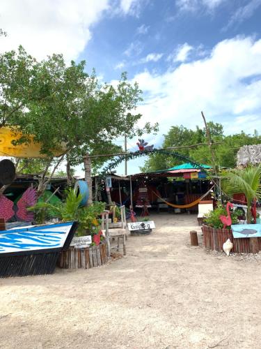 奥尔沃克斯岛Casa de los Santos Camping y eco cabañas的拥有各种植物的市场