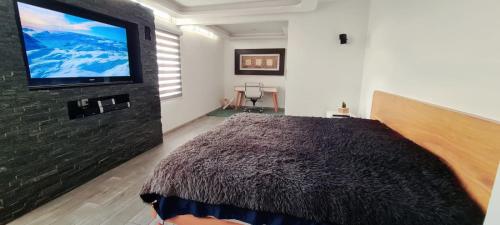 墨西哥城Cálida casa pet friendly, CDMX的一间卧室配有一张大床和一台平面电视