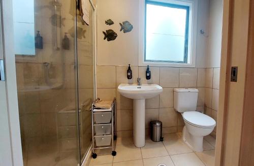陶波金洛克乡村住宿加早餐旅馆的浴室配有卫生间、盥洗盆和淋浴。