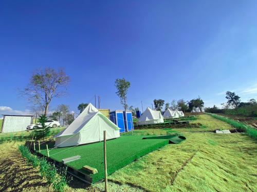 Ban Nong Song HongMoon Camp Khaoyai的绿草丛中的一组帐篷