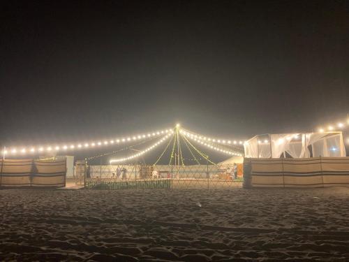 拜尔卡Dolphin Campground的夜晚在田野里带灯的大帐篷