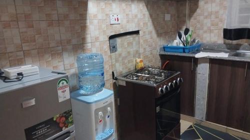 RuiruBonyeza Safaris Staycations-Kenya的厨房配有炉灶和水箱。
