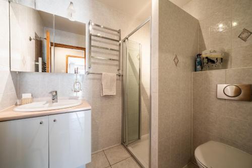 萨莫安斯Le Torrent des Lys的带淋浴、盥洗盆和卫生间的浴室