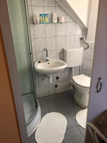布达佩斯萨莎洛姆酒店的一间带水槽和卫生间的小浴室