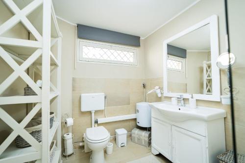 帕拉比塔Villa delle Ulie By Vivimy的一间带卫生间、水槽和镜子的浴室