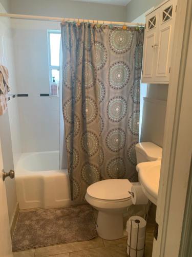 萨拉索塔Cozy Cottage near Beaches and Downtown Sarasota的带淋浴、卫生间和盥洗盆的浴室