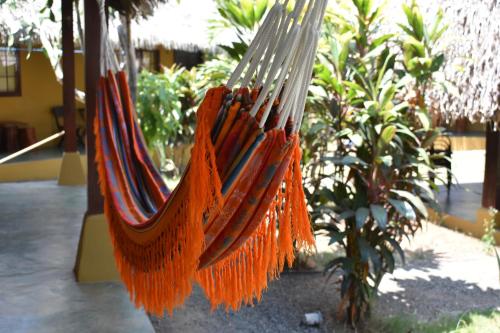 圣卡塔利娜岛Hotel Las Hamacas的花园里的吊床上挂着橙色的边缘