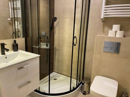 克拉科夫Millenium Apartments的带淋浴、卫生间和盥洗盆的浴室