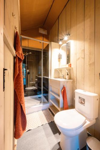 IngenSafaritent的浴室配有卫生间、盥洗盆和淋浴。