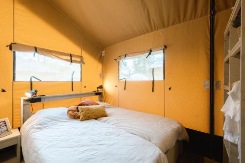 IngenSafaritent的黄色墙壁和窗户的房间里一张床位