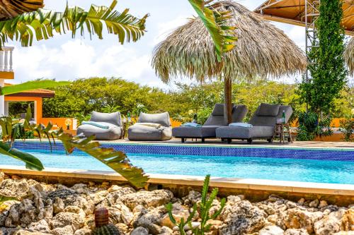 克拉伦代克Boutique Hotel Wanapa的一个带躺椅的游泳池以及度假村