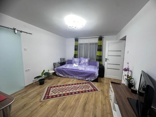 克卢日-纳波卡Camelia's Apartment的客厅配有紫色的床和电视