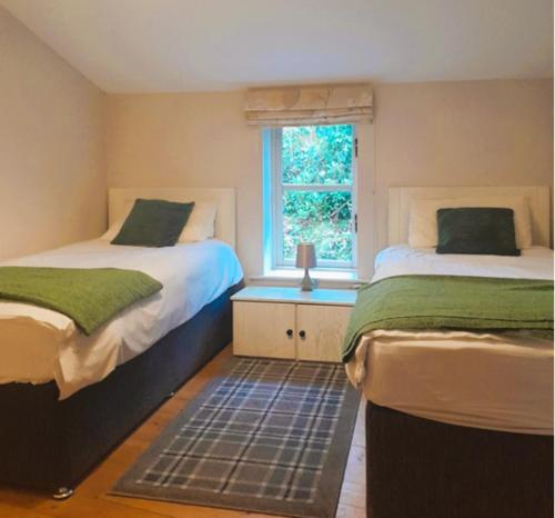 Ballyorgan贝利豪拉度假屋的一间卧室设有两张床和窗户。