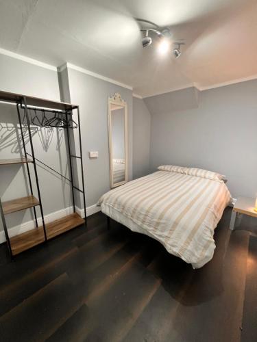 凯特林82a Nelson Street的一间卧室配有一张床和镜子