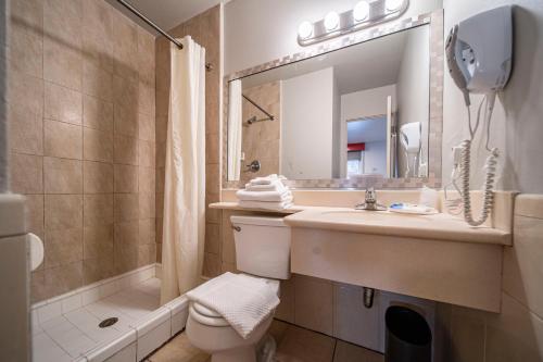 洛杉矶Royal Pagoda Motel Dodger Stadium的一间带水槽、卫生间和镜子的浴室