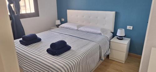 德尔锡伦西奥海岸Sasha Tenerife的一间卧室配有一张带两个枕头的床