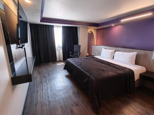 墨西哥城Hotel Max的一间酒店客房,配有一张大床和一台平面电视