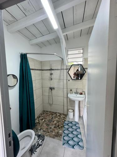 DucosVilla citron的带淋浴、卫生间和盥洗盆的浴室