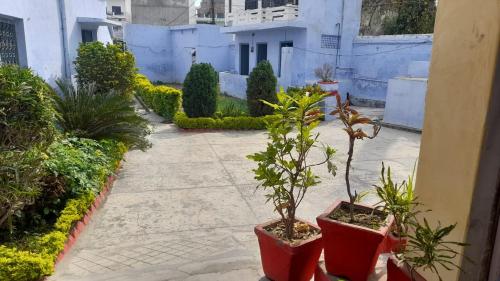 AyodhyaKarunanidhan Homestays的人行道上种有两株盆栽植物的庭院