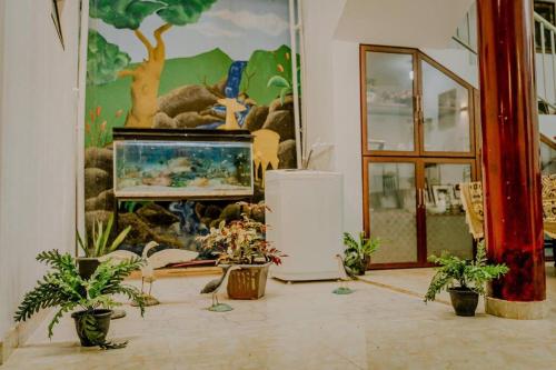 马特勒Lihini Villa ii的墙上挂着盆栽植物和画作的房间
