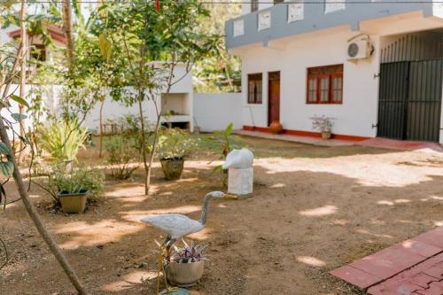 马特勒Lihini Villa ii的两天鹅在房子前面的院子中