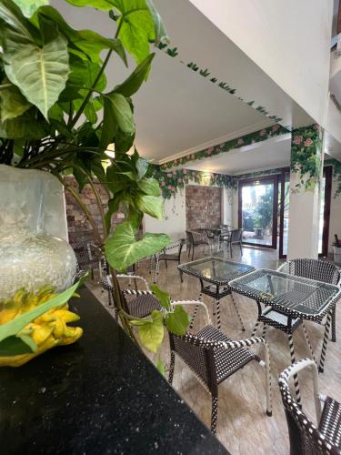 清化Mint Homestay - Thanh Hóa的用餐室配有桌椅和植物