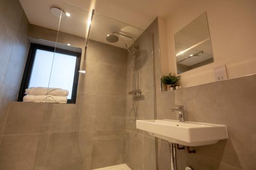 北巴拉胡利什Forest Corner Luxury Apartment with Hot Tub的浴室配有盥洗盆和带镜子的淋浴