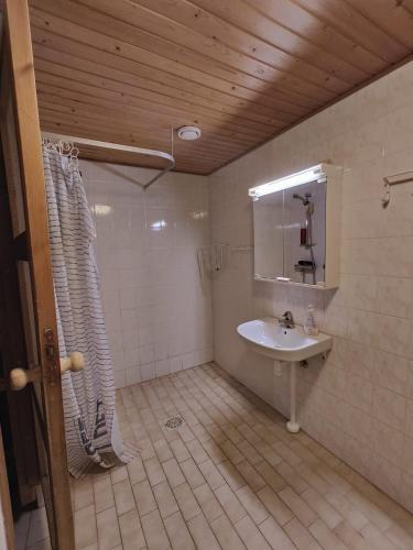 ReisjärviKetola Apartments Reisjärvi的一间带水槽和镜子的浴室
