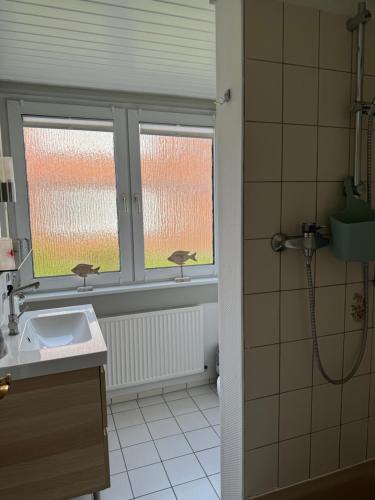 佩尔沃姆Kleine Ella Pellworm的带淋浴和盥洗盆的浴室以及窗户。