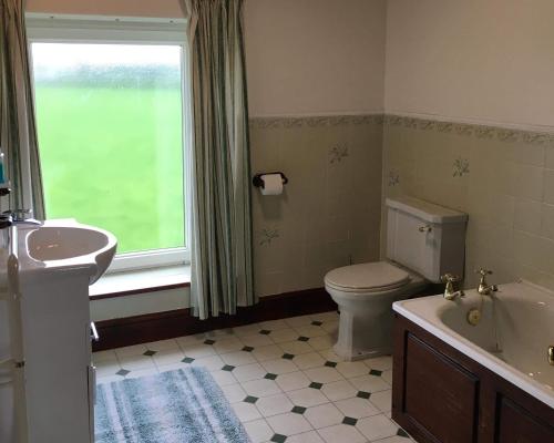 LlanllwchaiarnBrynonnen Nanternis的一间带卫生间、水槽和窗户的浴室