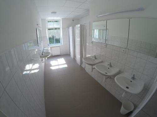 布热茨拉夫Centrum Ubytování Břeclav的浴室设有2个水槽和2面镜子
