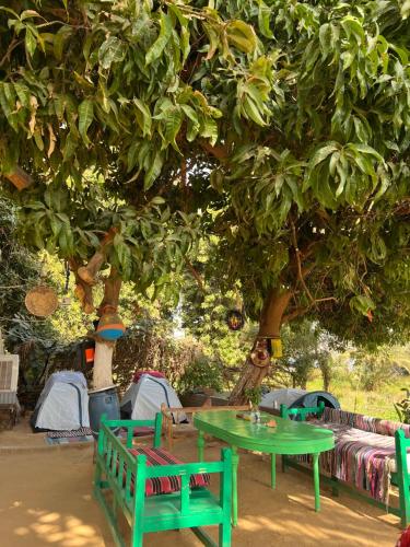 阿斯旺Salatoos Mango Camp的树下绿色的桌子和椅子