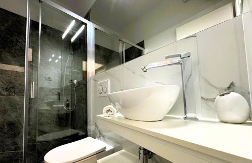 科佩尔Apartments & rooms Artemus Belveder的一间带水槽、淋浴和卫生间的浴室