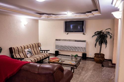 PenápolisSakr Hotel的带沙发和电视的客厅