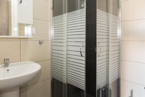 克拉默特扎密兹公寓的一间带水槽和玻璃淋浴的浴室