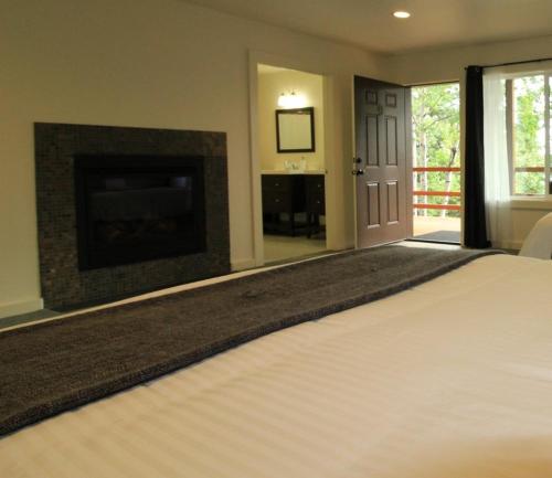 SterlingGreat Alaska Adventure Lodge的一间卧室设有壁炉、一张床和一台电视机。