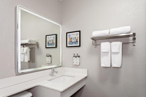 奥克布鲁克特莱斯Holiday Inn Chicago/Oak Brook, an IHG Hotel的浴室配有盥洗盆、镜子和毛巾