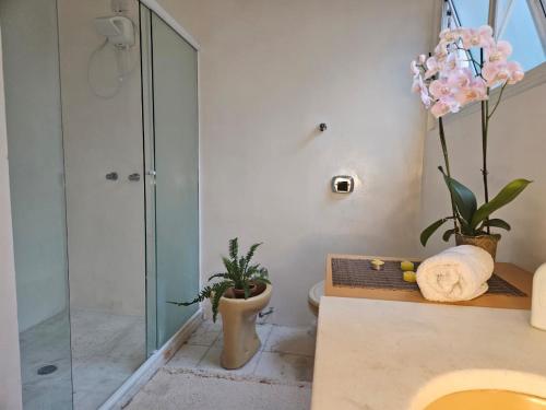 阿雷格里港Espaço Semente Solar Jade的一间带玻璃淋浴和水槽的浴室