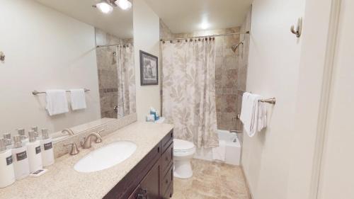斯诺马斯村Terracehouse - CoralTree Residence Collection的一间带水槽、卫生间和淋浴的浴室